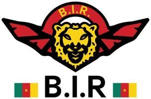 BIR — Bataillon d'Intervention Rapide